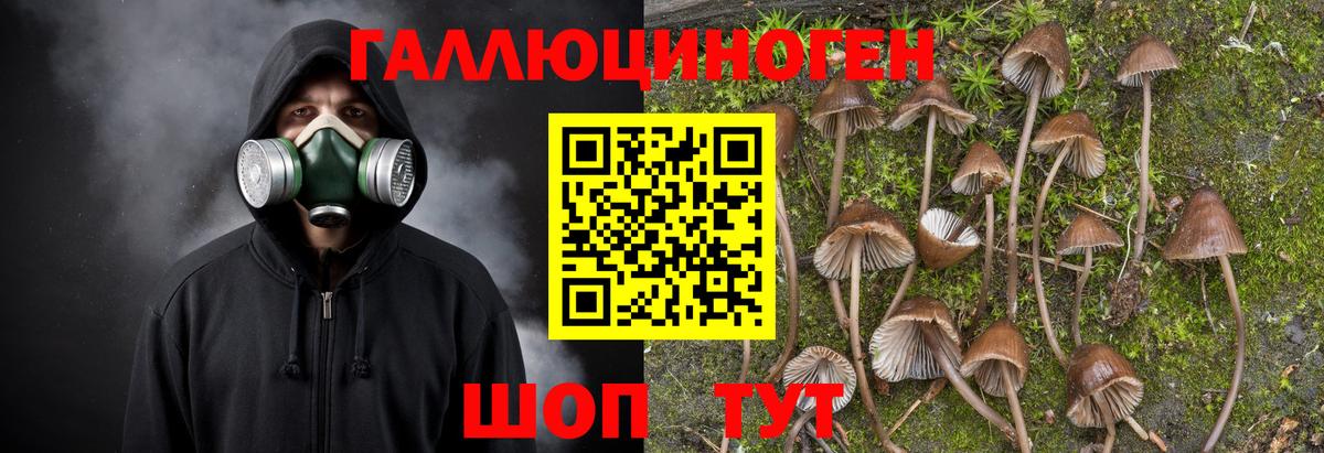 Галлюциногенные грибы Magic Shrooms Череповец