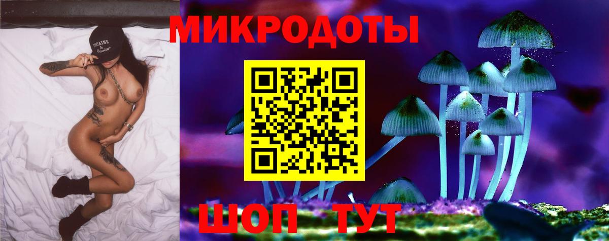 Череповец  Псилоцибиновые грибы Psilocybine cubensis  Вход с VPN 